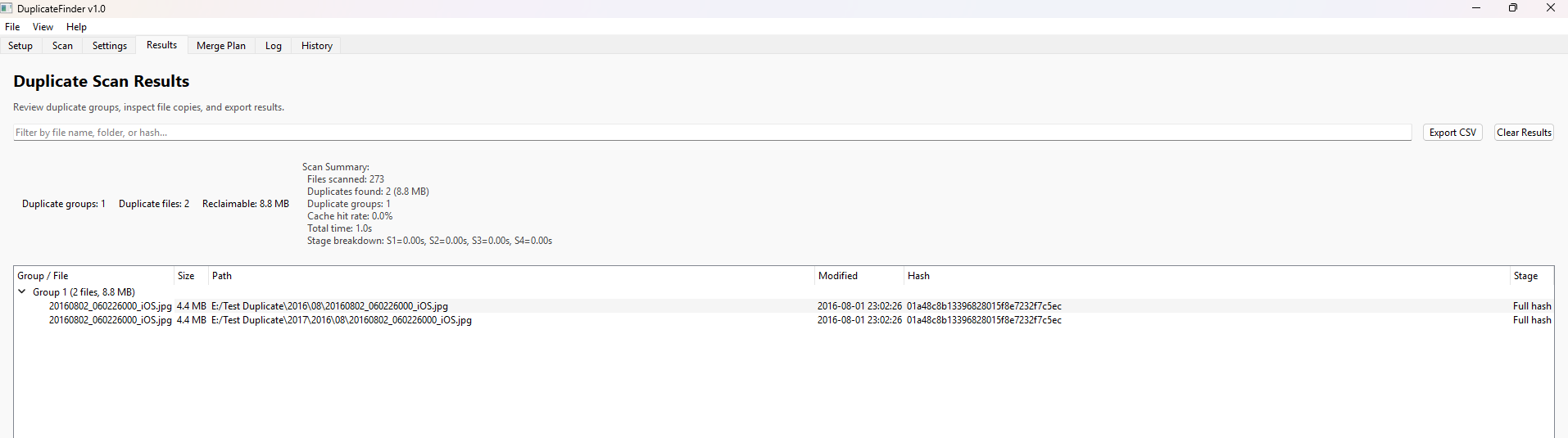 Duplicate Scan Results panel showing grouped duplicate files with paths, sizes, and hash verification